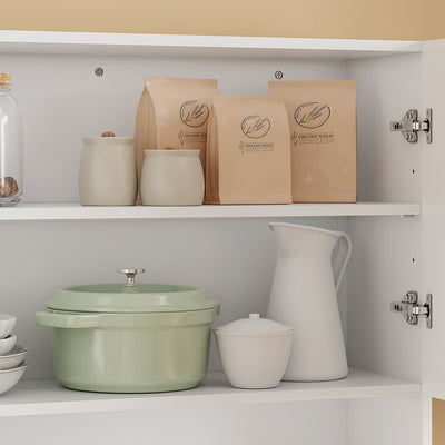 SoBuy | Hangeschrank | Wandschrank hängend mit 2 Türen | White | 90×70×28.5 cm | BZR233-W